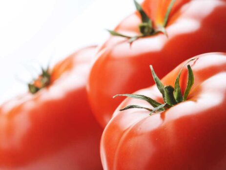 china tomato product industry