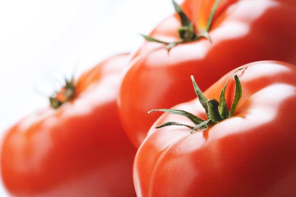 china tomato product industry