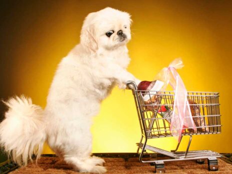 pet products