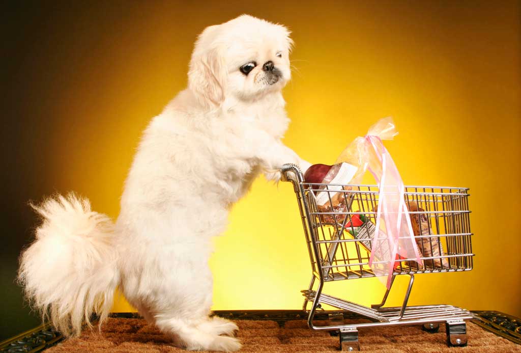 pet products